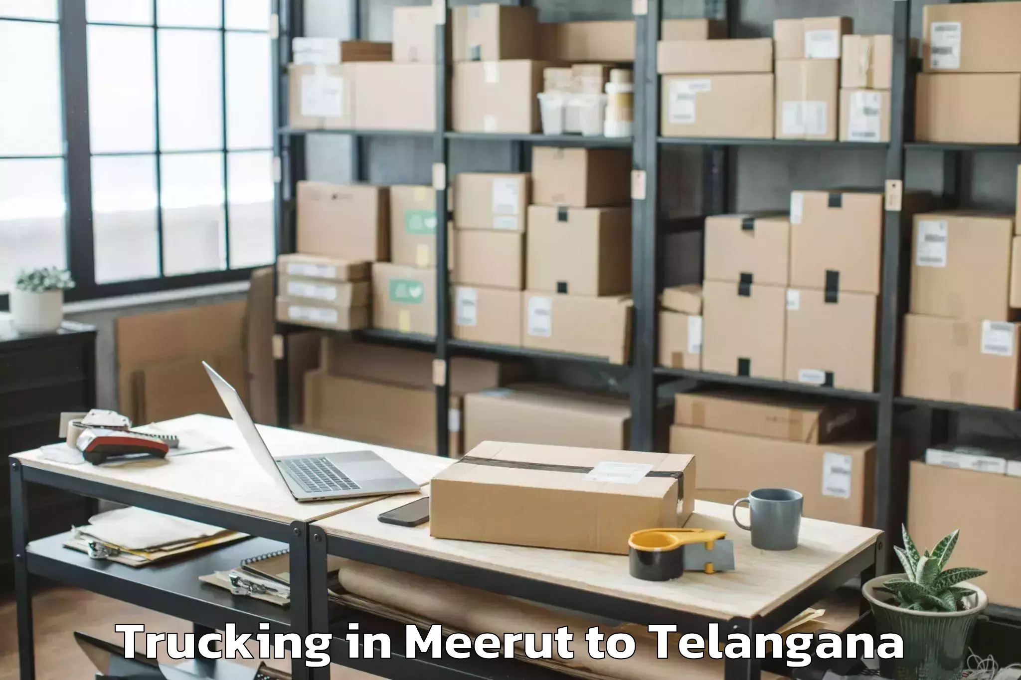 Book Meerut to Vemanpalle Trucking Online